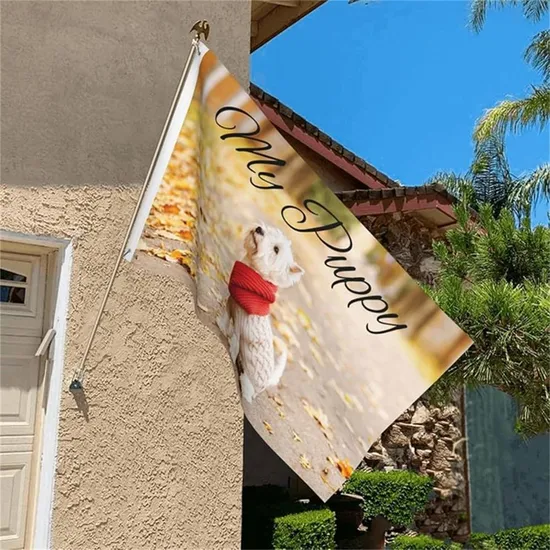 Advertising-All-Countries-National-Custom-Outdoor-Indoor-Flags