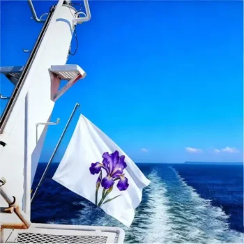 Advertising High Quality Promotional Universal Custom 30X45cm Boat Flags