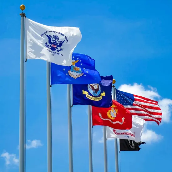 Advertising Outdoor Indoor Polyester 3X5 FT All Country Custom Flags