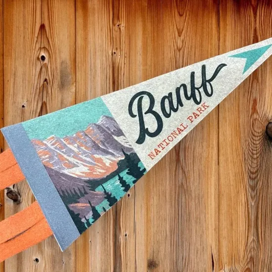 Bold-Colorful-Attract-More-Customers-to-Your-Storefront-Felt-Pennant-Flags