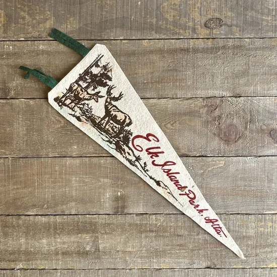 Bold-Colorful-Attract-More-Customers-to-Your-Storefront-Felt-Pennant-Flags