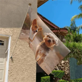 Chinese Factory Promotional Outdoor Indoor Polyester Custom Flags