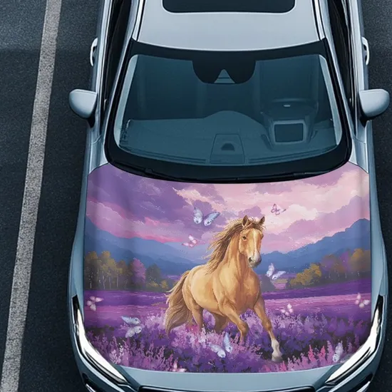 Colorful-Patterned-Spandex-Fabric-Vehicle-Hood-Protector-Car-Hood-Cover