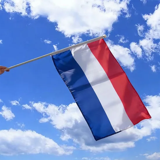 Custom Factory Wholesale Hand Flags