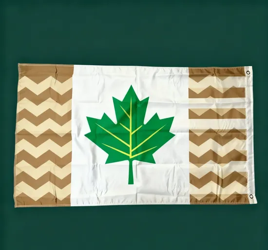 Custom Size Printing Any Design Outdoor Indoor Advertising Flags