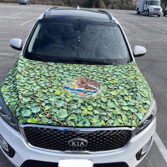 Custom-Spandex-Fabric-Auto-Hood-Shield-Protection-Car-Hood-Cover