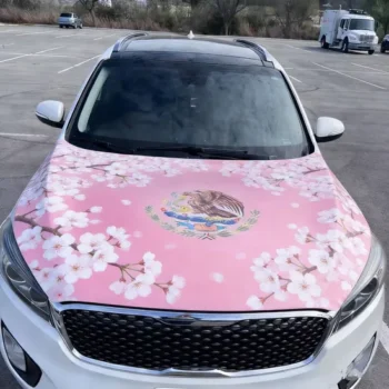 Easy Install Spandex Fabric Protective Car Hood Cover