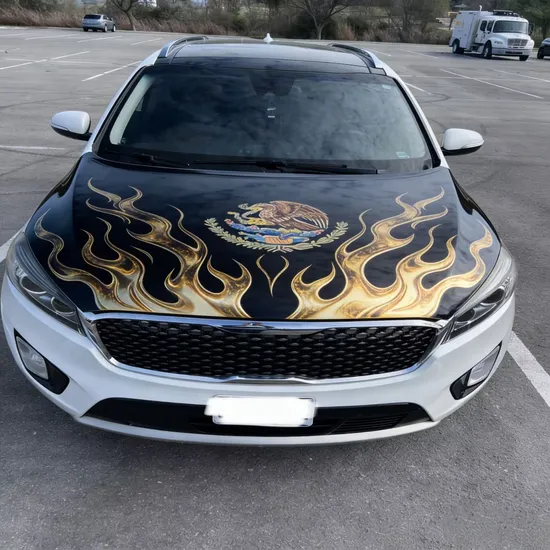 Eye-Catching-Spandex-Fabric-Auto-Decorative-Shield-Car-Hood-Cover