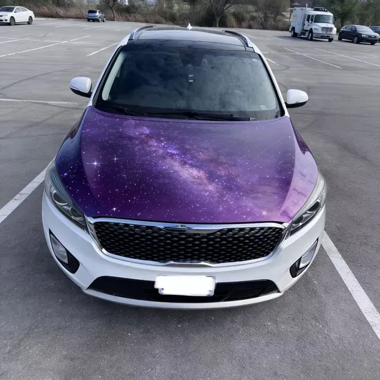 Eye Catching Spandex Fabric Auto Decorative Shield Car Hood Cover