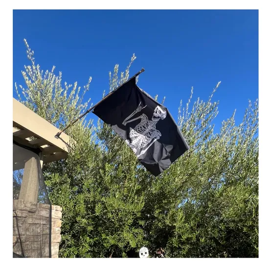 Factory-Competitive-Price-Vivid-Color-Outdoor-Advertising-Custom-Flag-for-Display