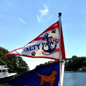 Factory Wholesale Customized Cheap Small Size Boat Flags