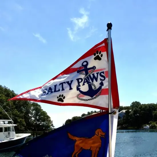 Factory Wholesale Customized Cheap Small Size Boat Flags