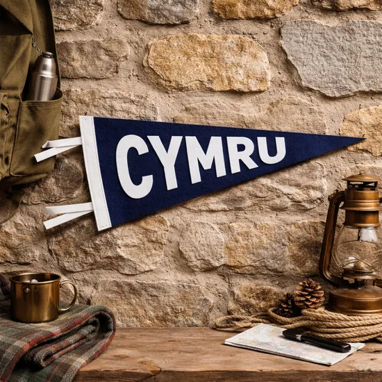 Full Color Triangle Pennant Flag for Unique Indoor Outdoor Decor