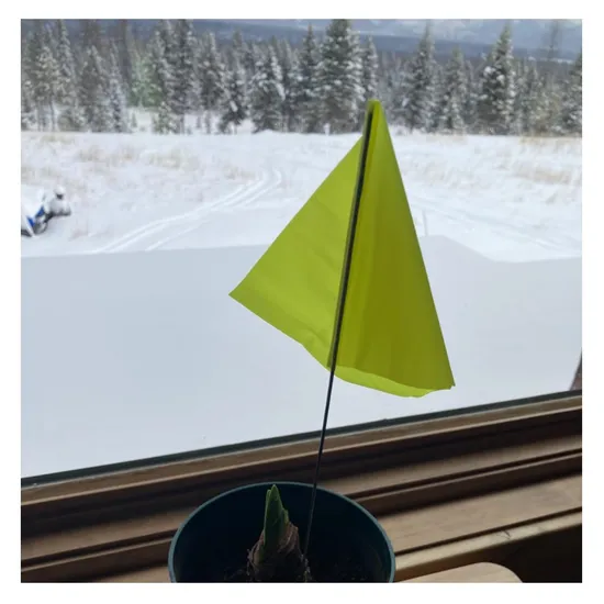 High Quality Hot Sales Custom Printing Cheap Custom Made Yard Marking Flags