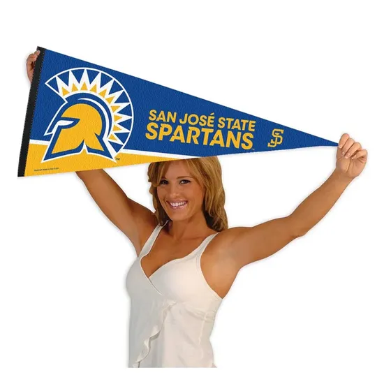 High Quality Outdoor Indoor Customized Design Logo Pattern Printed Triangle Pennant Banner