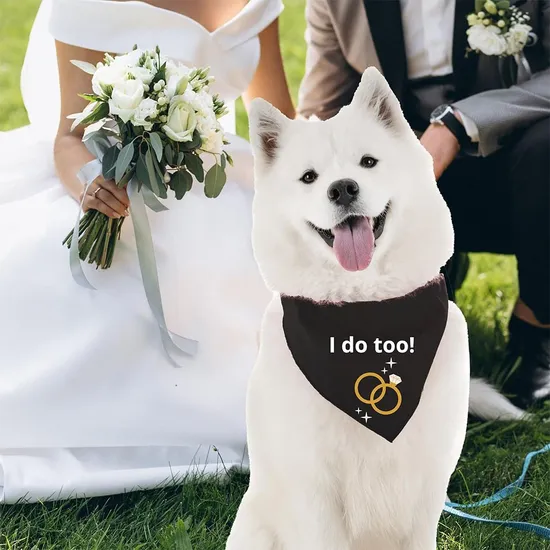 Hot-Sales-Wholesale-Promotional-Custom-Personalized-Polyester-Cotton-Fabric-Pet-Dog-Bandana