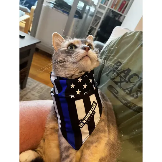 Hot Sales Wholesale Promotional Custom Personalized Polyester Cotton Fabric Pet Dog Bandana