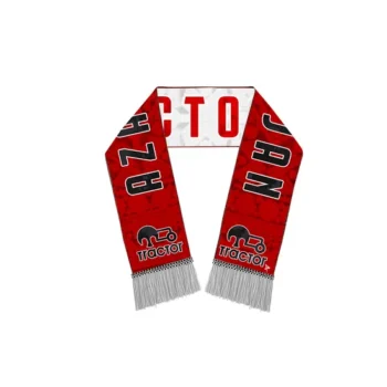 Jacquard Knitted Custom Design Logo Jacquard Worm High Quality Promotional Embroidered Souvenir Tassels Fans Scarf