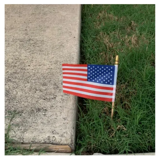 Lightweight-Custom-Size-Plastic-Hand-Waving-Flag-Price-for-Sports-Events-Flags