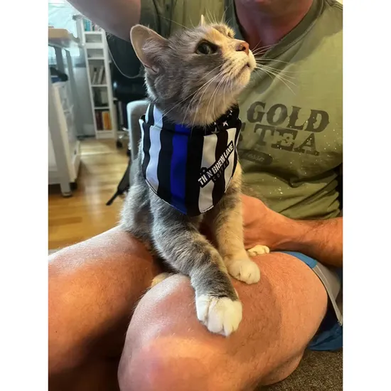 ODM-OEM-Free-Design-Sample-Service-Custom-Logo-Dog-Collar-Bowtie-Pet-Bandana