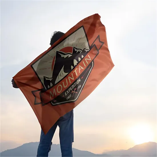 Offer Polyester Custom Size Outdoor Indoor Flags for Business Displays