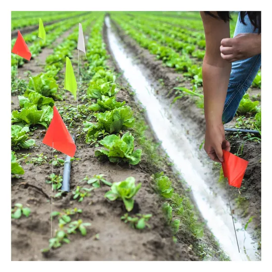 Portable-Hot-Sales-Wholesale-Double-Sided-Cheap-Custom-Made-Yard-Marking-Flags