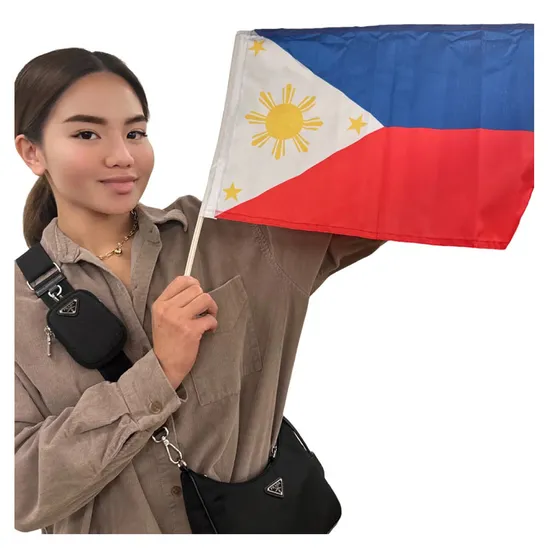 Promotion Cheap High Quality Double Sided Polyester Car Window Decoration Banner Flag