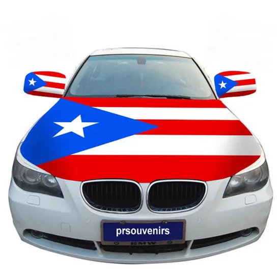 Promotion Custom Sublimation Printed Spandex Car Hood Cover for Decoration