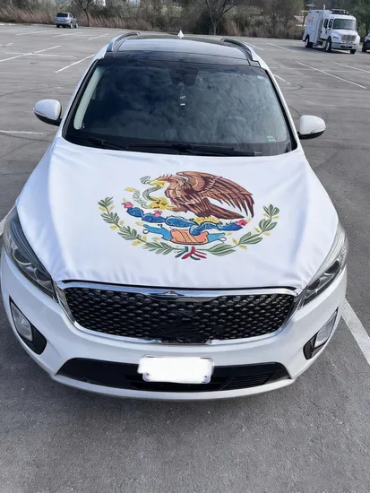 Promotional Wholesale Custom Spandex Any Size Car Hood Cover