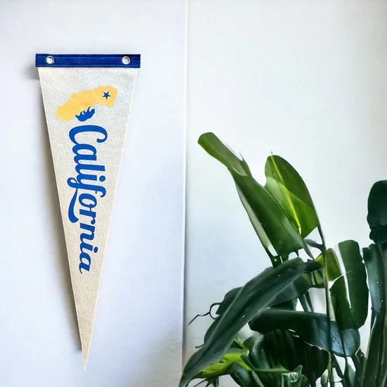Reusable Washable Reduce Waste Felt Pennant Flags for Sustainable Marketing