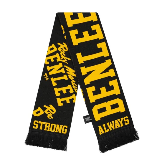 Warm Factory Direct Promotion Customized Design Knitted Jacquard Embroidery Scarf for Quality Product Winter