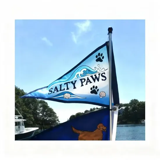 Wholesale-30X45cm-Nautical-Yacht-Decorative-Embroidered-Custom-Boat-Flags