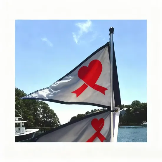 Wholesale-30X45cm-Nautical-Yacht-Decorative-Embroidered-Custom-Boat-Flags
