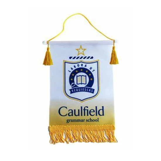 Wholesale-Cheap-Wall-Hanging-Football-Club-Team-Custom-Mini-Pennant